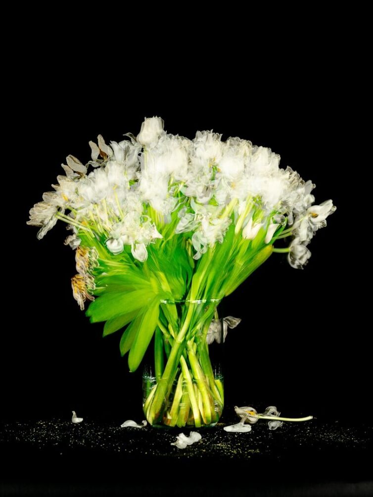 14 Days artwork series