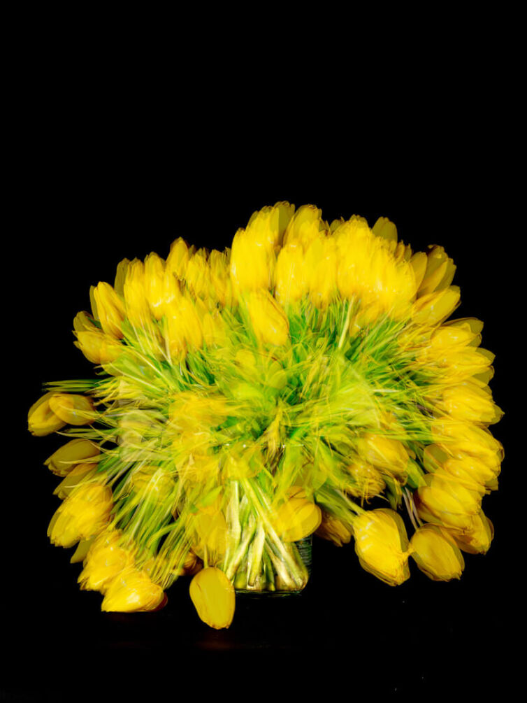 A bouquet of yellow tulips arranged in a clear glass vase with a black background.