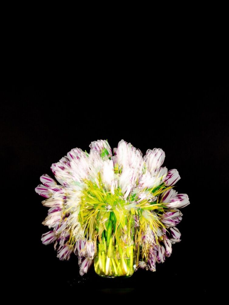 A bouquet of tulips with white and purple petals arranged in a clear glass vase.