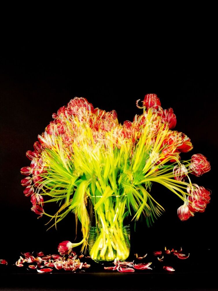 A bouquet of red tulips with green stems arranged in a clear glass vase against a black background.