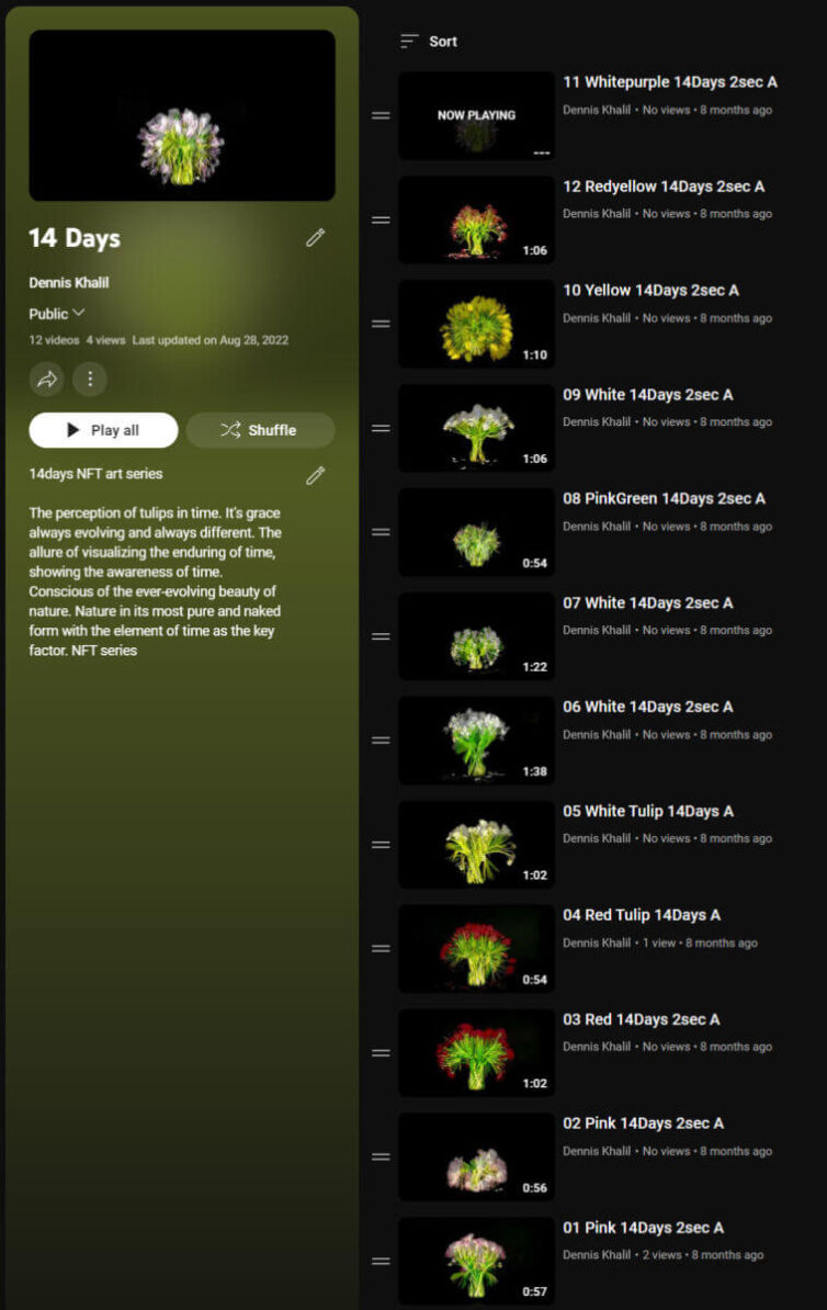 14days-artseries-youtube-version