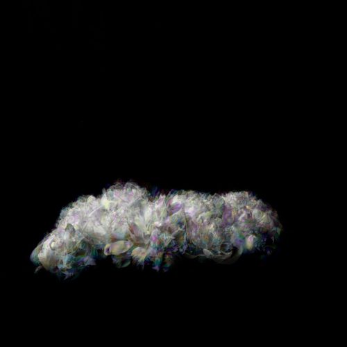 An abstract representation of a white flower arrangement against a dark background.