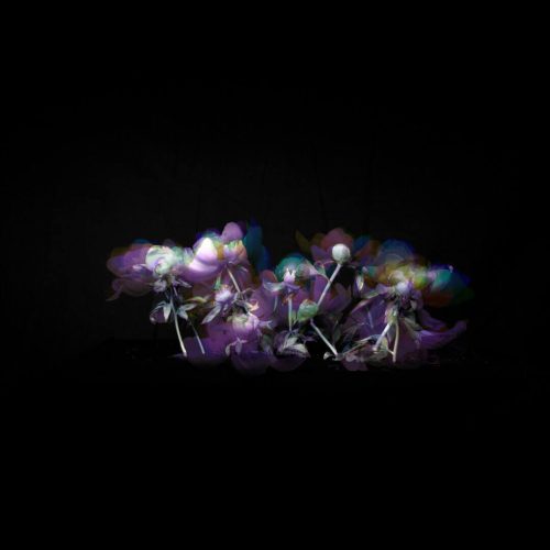 An abstract arrangement of colorful flowers with a blurred effect against a dark background.