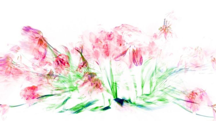 Abstract representation of pink flowers with green stems and leaves on a white background.