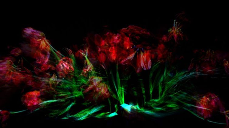 Abstract image featuring red flowers with green accents against a dark background.