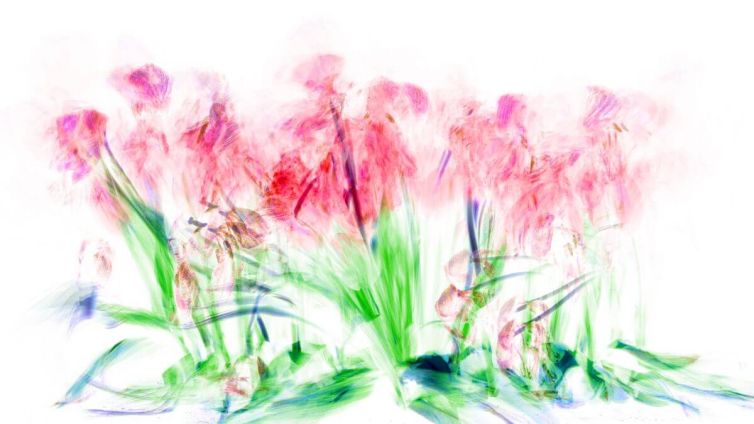 Abstract representation of pink flowers with green foliage in a soft focus style.