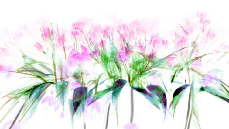 Abstract representation of pink flowers with green leaves in a blurred effect.