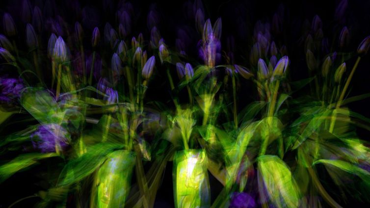 An abstract representation of flowers with green leaves and purple buds, featuring a blurred effect.
