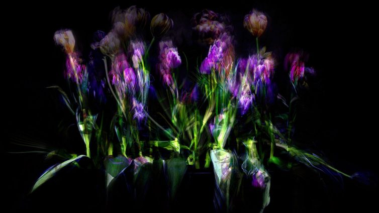 An abstract representation of flowers with vibrant colors and blurred outlines against a dark background.
