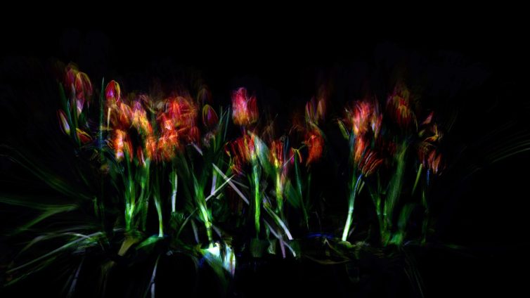 An abstract representation of flowers with vibrant colors and blurred outlines against a dark background.