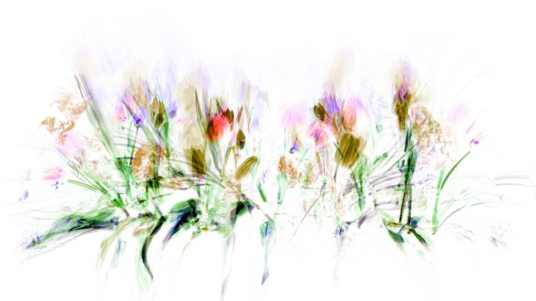 An abstract representation of flowers with soft colors and blurred outlines.