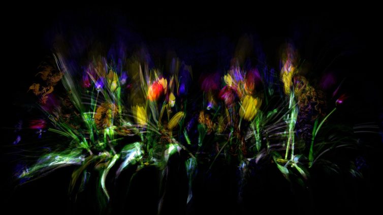 An abstract representation of colorful flowers with a dark background and blurred effects.