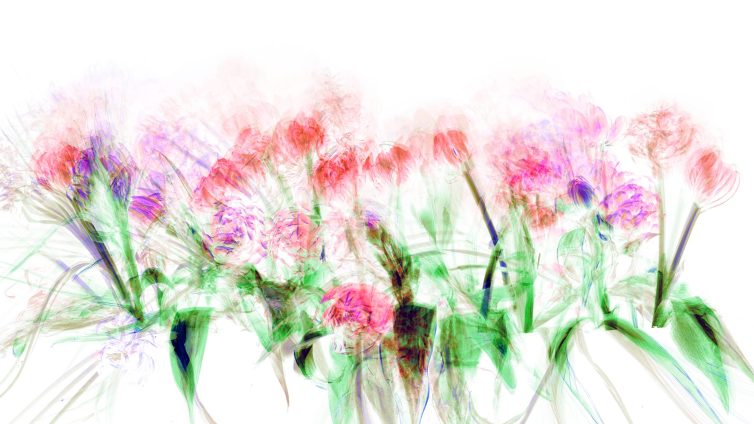 Abstract representation of colorful flowers with a blend of pink and green hues in a soft focus.