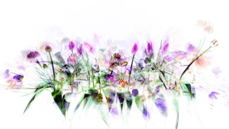 An abstract representation of a floral arrangement with various colors and shapes blending together.