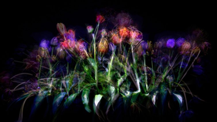 An abstract representation of a floral arrangement with various colors and shapes against a dark background.