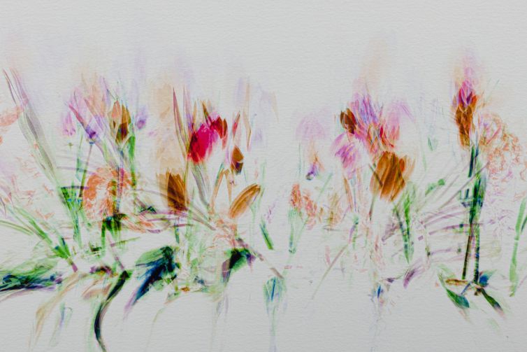 Abstract representation of flowers with various colors and shapes on a light background.