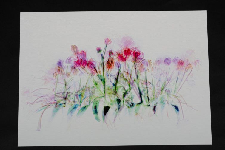 Artistic representation of flowers with pink and purple hues on a textured paper background.