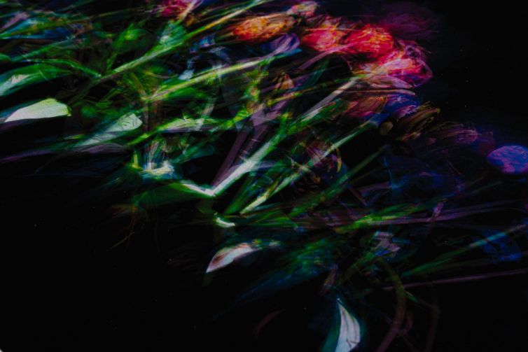 Abstract representation of flowers with vibrant colors and blurred effects on a dark background.