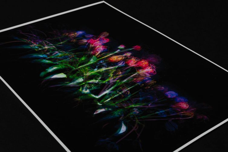 Art print featuring vibrant flowers with a dark background, showcasing various colors and shapes.
