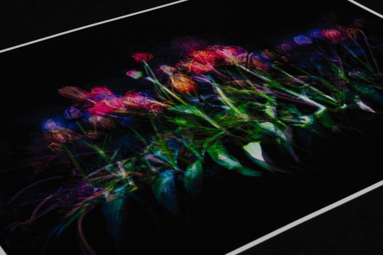 Vibrant artwork featuring a row of flowers with various colors against a dark background.